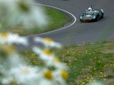Race Cars Killing Wildflowers